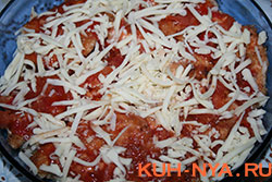    (CHICKEN PARMIGIANO)