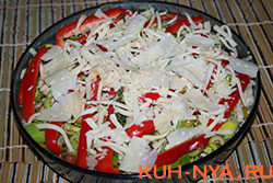    (CHICKEN PARMIGIANO)